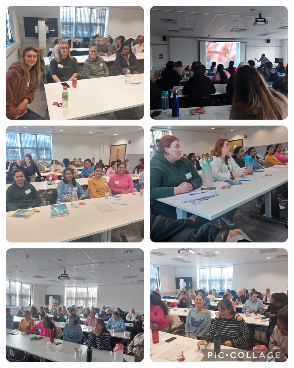 Team ward 2a tweet media