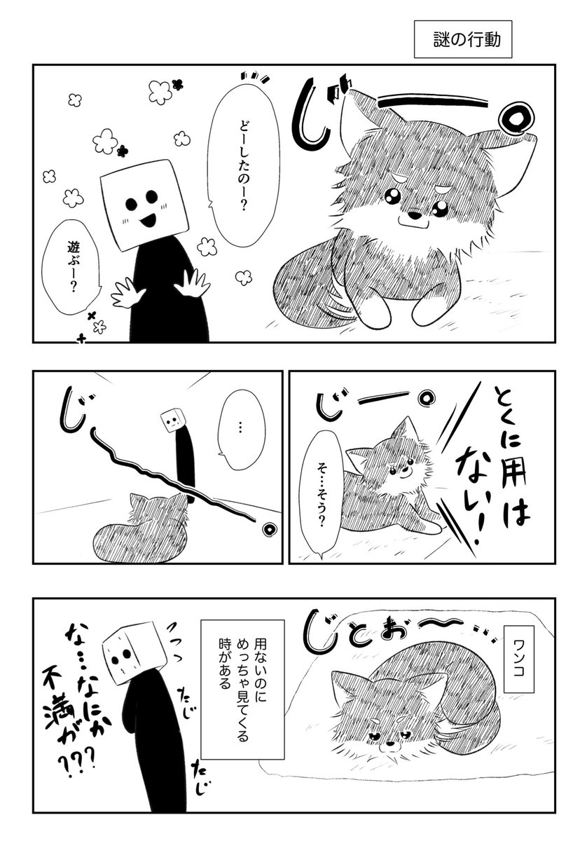 ワンコといると超楽しい

#エッセイ漫画
#チワワのいる暮らし https://t.co/ZQDvJ3QRnx