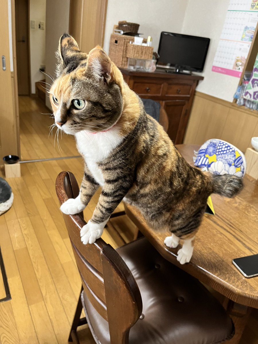 tsukachin999's tweet image. ノッリノリ〜♫😆👍
#TeamVKS #interfm897 #3djs