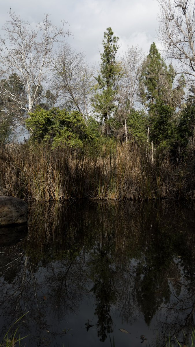 👨💻 tweet media