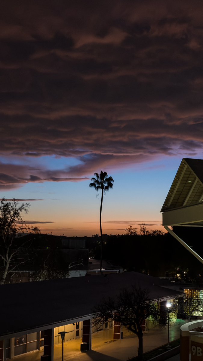 👨💻 tweet media