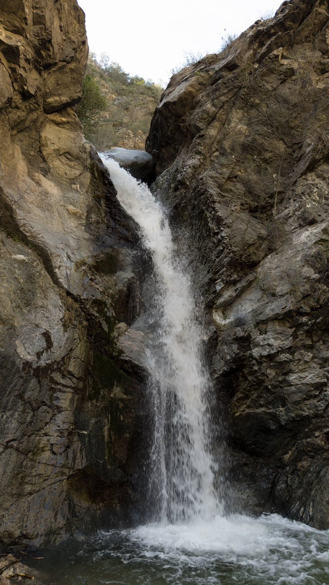 👨💻 tweet media