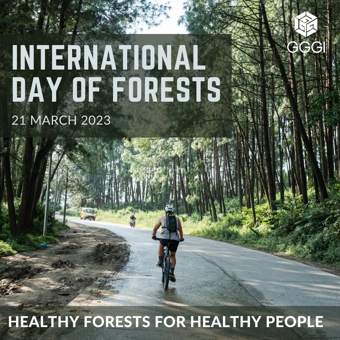gggi_nepal's tweet photo. Celebrating #internationaldayofforests 🌳🌲🌴

At GGGI Nepal, we are working to drive #ecosystem #restoration and resilient #economic #growth by unlocking Nepal’s #bamboo sector.

Let us know in the comments sections how you are contributing to #sustianableforests 
@gggi_hq https://t.co/UUX5SZL6Kf