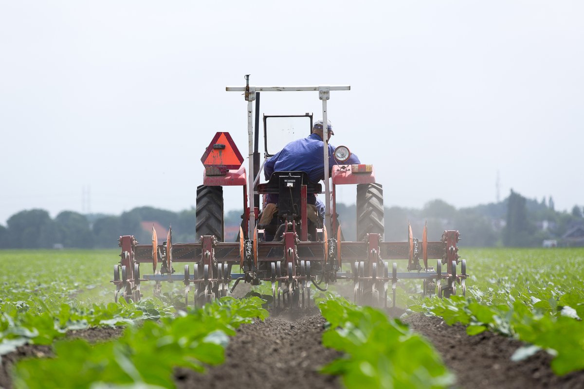 #LANDBOUWAKKOORD | Om tot een succesvol landbouwakkoord te komen dat op draagvlak onder onze boeren en tuinders kan rekenen én op begrip vanuit de samenleving, roept LTO op tot een essentiële koerswijziging. Lees meer ⬇️
lto.nl/lto-wil-koersw…