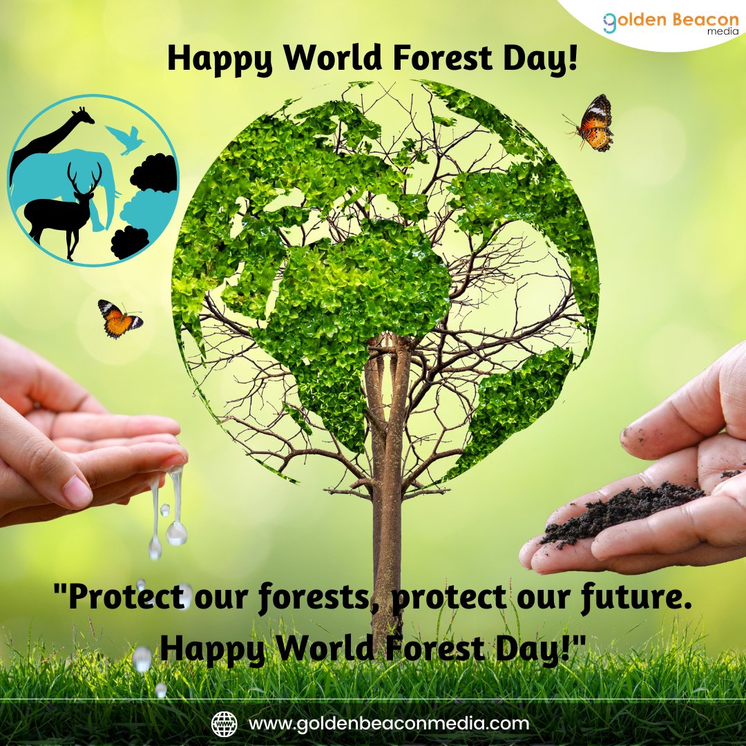 Happy World Forest Day! Let's celebrate.

Enquire now👇👇👇
 📧  ajay@goldenbeaconmedia.com
🌐  goldenbeaconmedia.com

#WorldForestDay #InternationalDay
#ForestsMatter #ForestConservation
#MadeForTrade #MyFlagIsMyPride #WorldPoetryDay
#SaveForests #GreenPlanet #ProtectForests