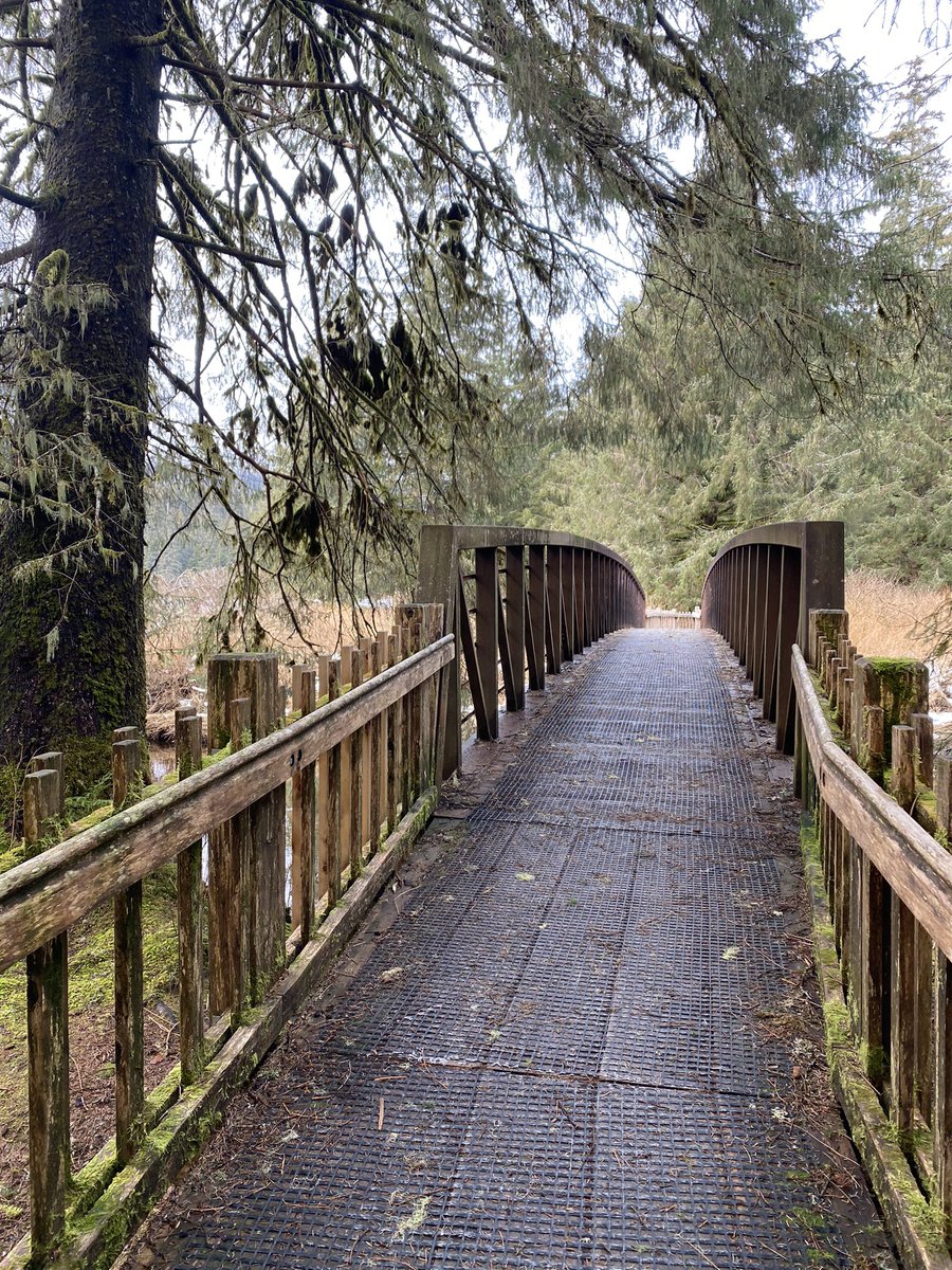 SharonBrooks13's tweet photo. #WalkWithaView a few spring clues like budding plants and small birds chirping. https://t.co/F4rKXdzOWk