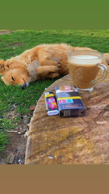 Good morning!🥰 https://t.co/PXmH0HUXFl