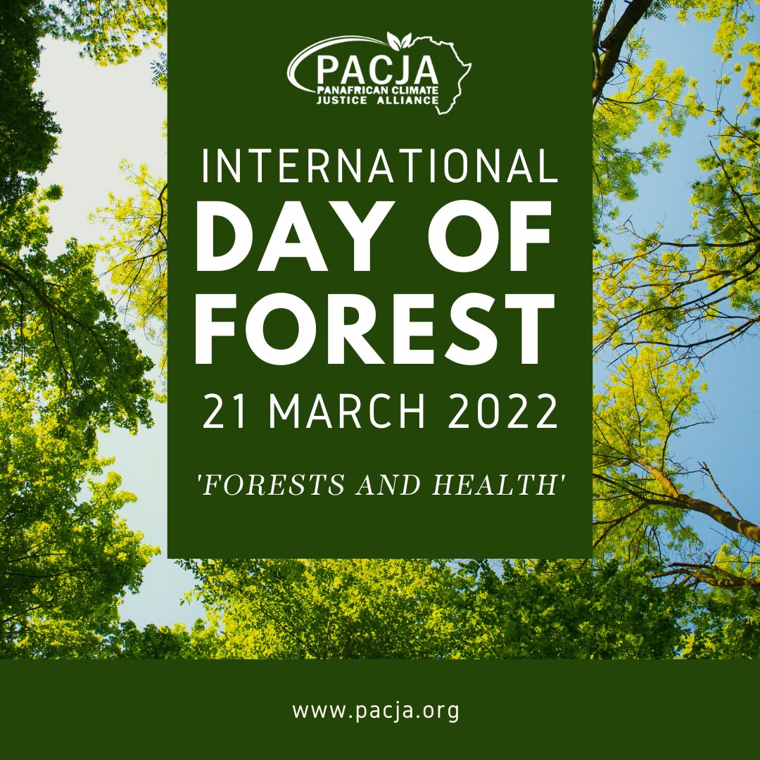 Today is #InternationalDayofForests! 🌲We must take action to protect and restore forests in order to combat the effects of climate change. 🔥Forests are essential for our planet, providing oxygen, clean air, and water. #ClimateJustice #ForestDay