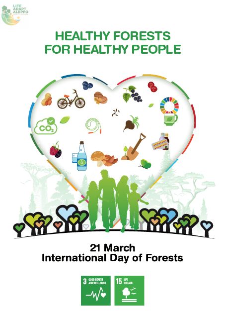 March21: International Day of Forests 🌏
#Adaptaleppo team works in adaptive management of Mediterranean Pinus halepensis forests in the face of #ClimateChange
#HealthyForests #HealthyPeople #IDF
@LIFEprogramme @IEntornoNatural @EtsiamAb @AmbientalRM @ETSEA_UdL @UPV @agrestascoop