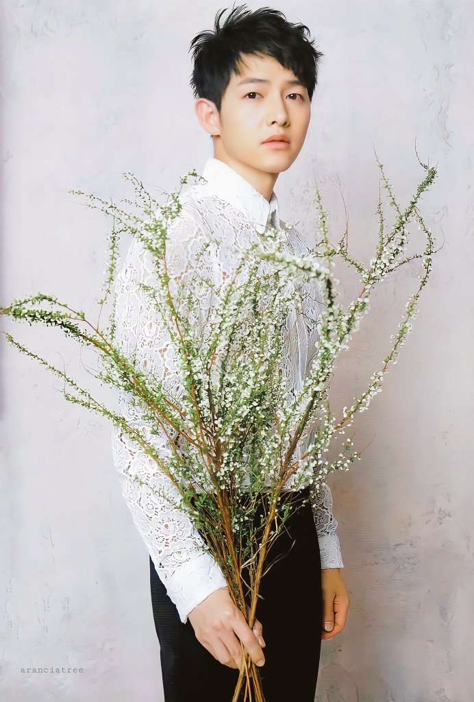 red_chacenzo's tweet photo. 봄 https://t.co/HUXJrAe5IB