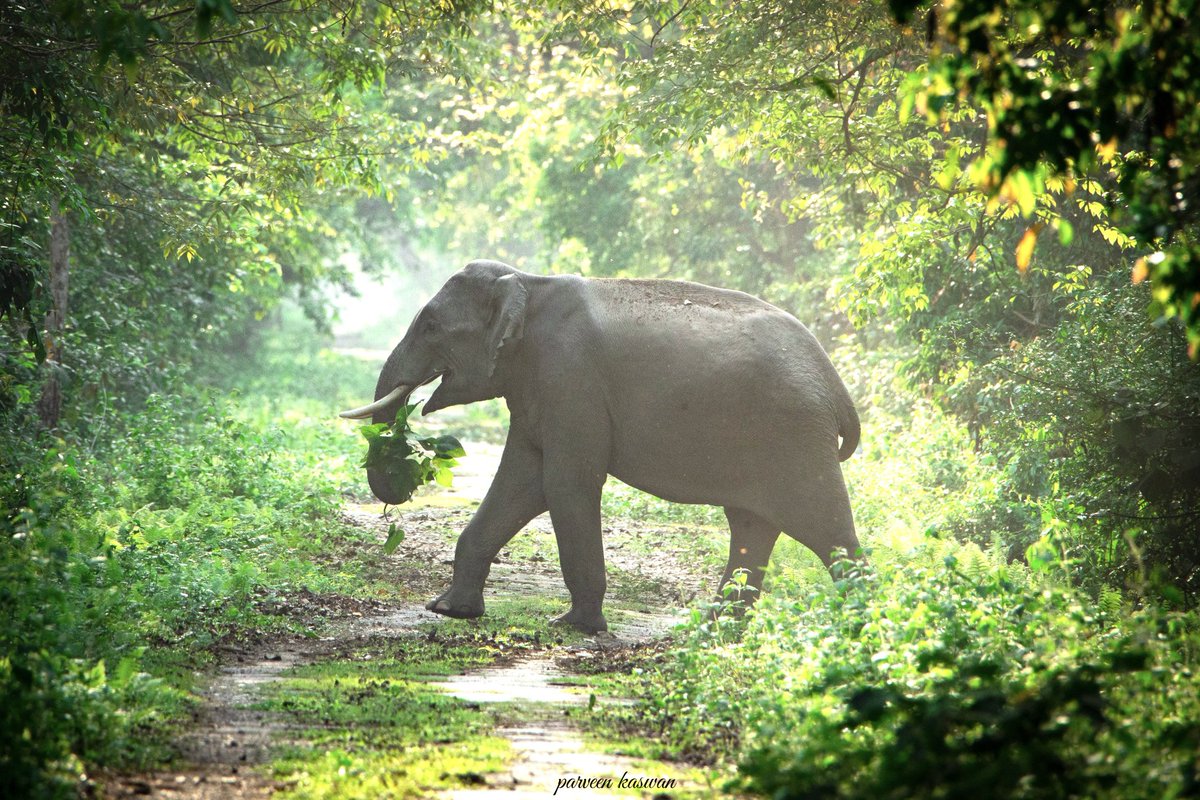 DIVISIONAL INFORMATION OFFICE, PUNE tweet media