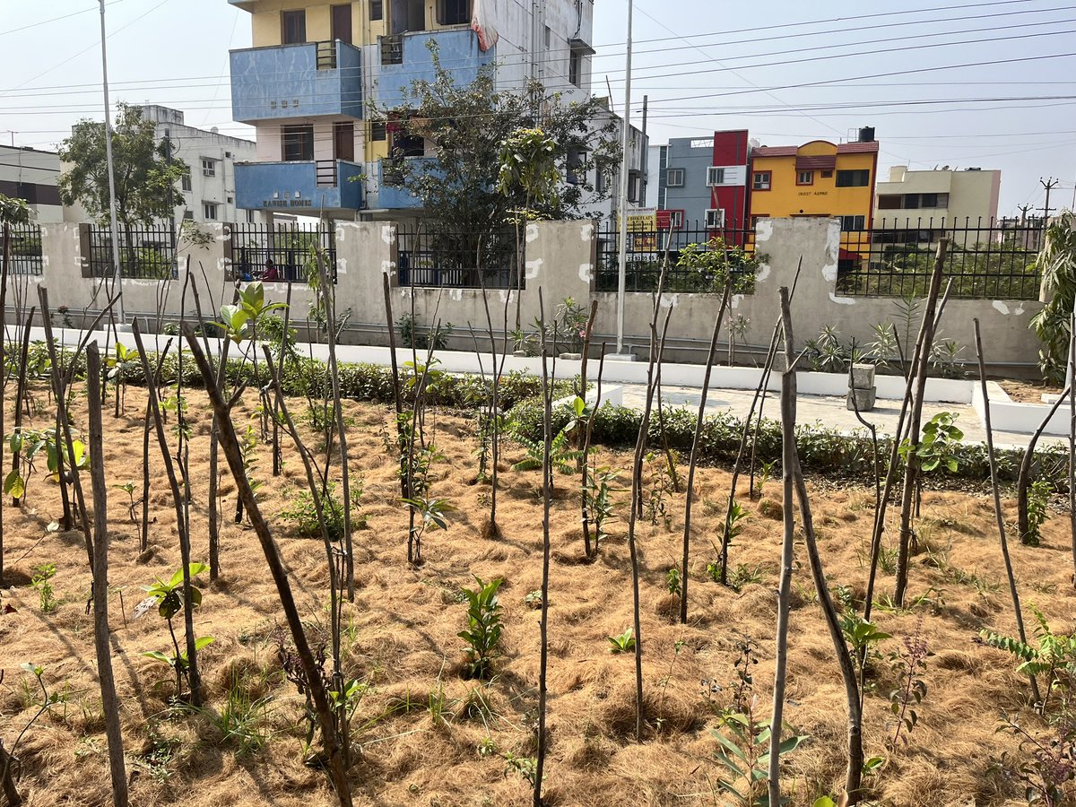 Thuvakkam's tweet photo. Forests are crucial for the ecosystem and our survival. It regulates the climate, purifies air, water, provides food, medicine, and resources. The Forest day also provides an opportunity to celebrate the beauty, diversity of the world forests. https://t.co/zksy6C0mNf