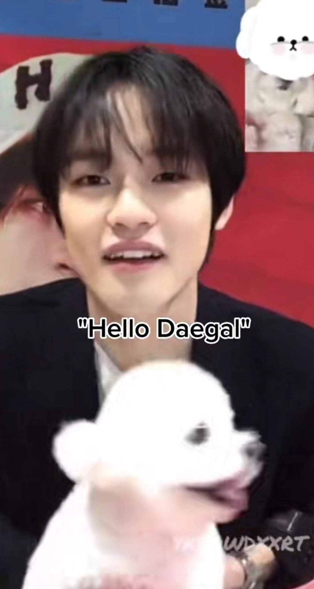 PATUHI RULES on Twitter: 