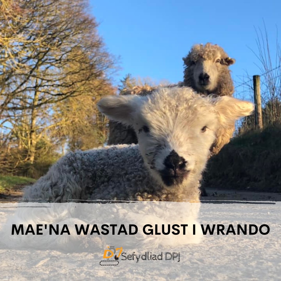 The DPJ Foundation tweet media