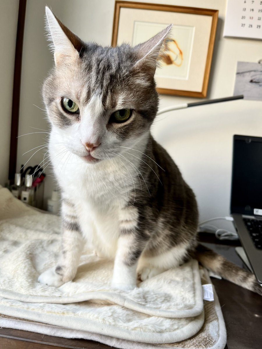 tsukachin999's tweet image. やっぱジャーニーはサイコージャニ？😆👍
#TeamVKS #3djs #interfm