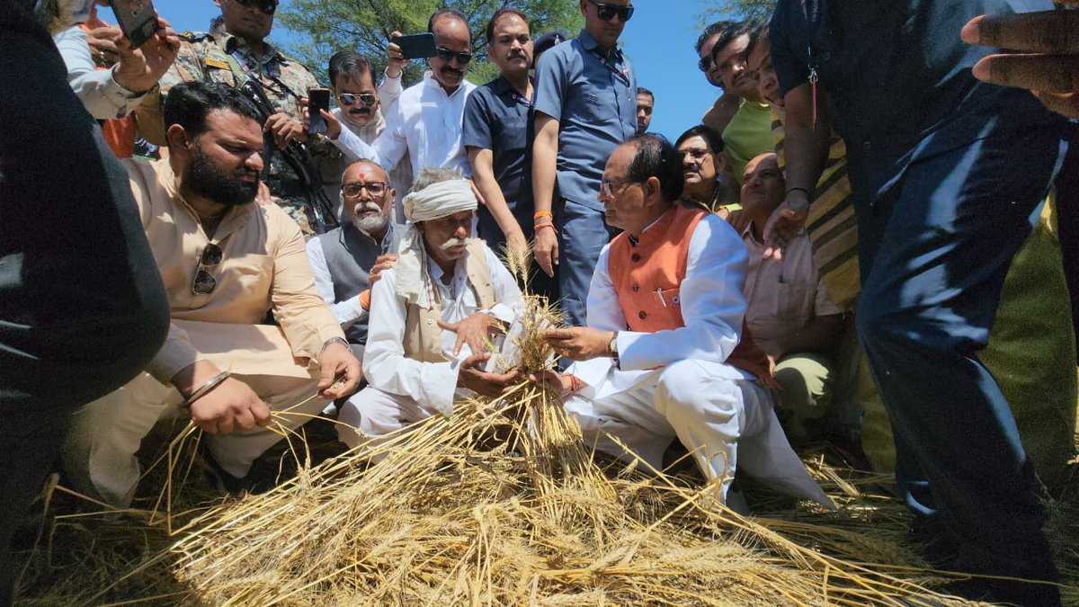 OfficeofSSC's tweet image. मुख्यमंत्री श्री @ChouhanShivraj ने विदिशा जिले की गुलाबगंज तहसील के ग्राम मूडरा गणेशपुर में ओलावृष्टि एवं अतिवर्षा से प्रभावित फसलों का जायजा लिया और संकटग्रस्त किसानों को सहायता का आश्वासन दिया।