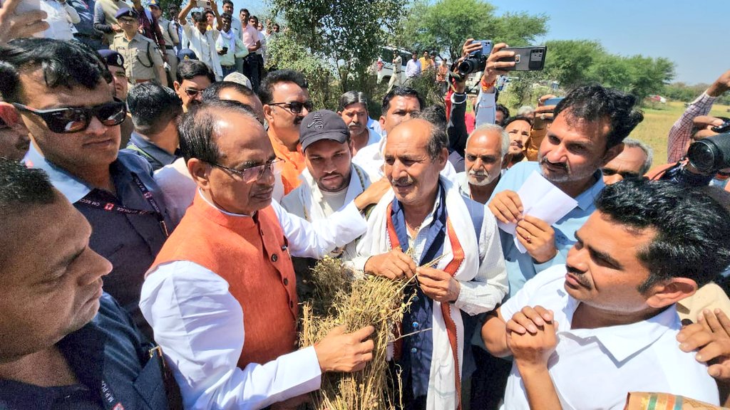 OfficeofSSC's tweet image. मुख्यमंत्री श्री @ChouhanShivraj ने विदिशा जिले की गुलाबगंज तहसील के ग्राम मूडरा गणेशपुर में ओलावृष्टि एवं अतिवर्षा से प्रभावित फसलों का जायजा लिया और संकटग्रस्त किसानों को सहायता का आश्वासन दिया।