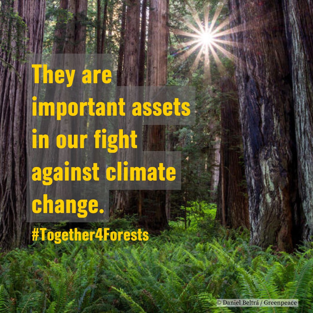 #Together4Forests #ActOnClimate NOW. (3/3)