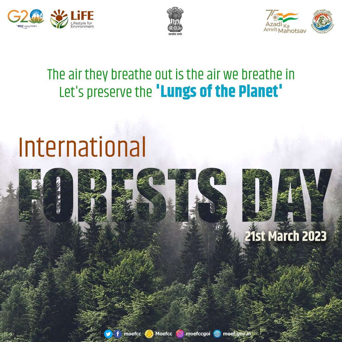 On this #InternationalForestsDay, let's save our #Forests and safeguard these precious natural resources for a sustainable future!
#ForestsDay