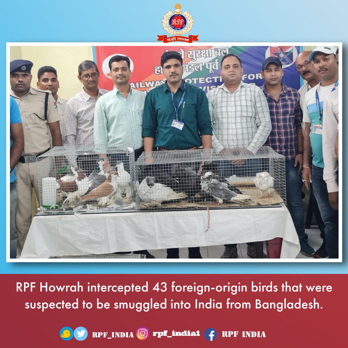 It's alarming to see how exotic birds are being smuggled into India for monetary gains. 
Let's pledge to say #NO to any form of #wildlifetrafficking and help preserve our planet's biodiversity.
#OperationWilep #WildlifeProtection