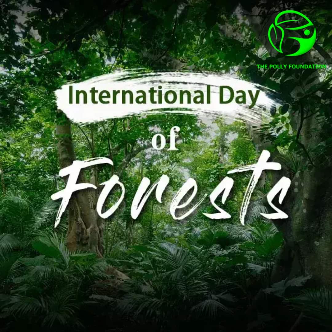 Today marks International Forest Day which is celebrated each year on March 21st to raise awareness about the importance of forests and trees for the survival of humanity and the planet. 

#FaceOutEcosystemImbalance 
#OurSharedWorld