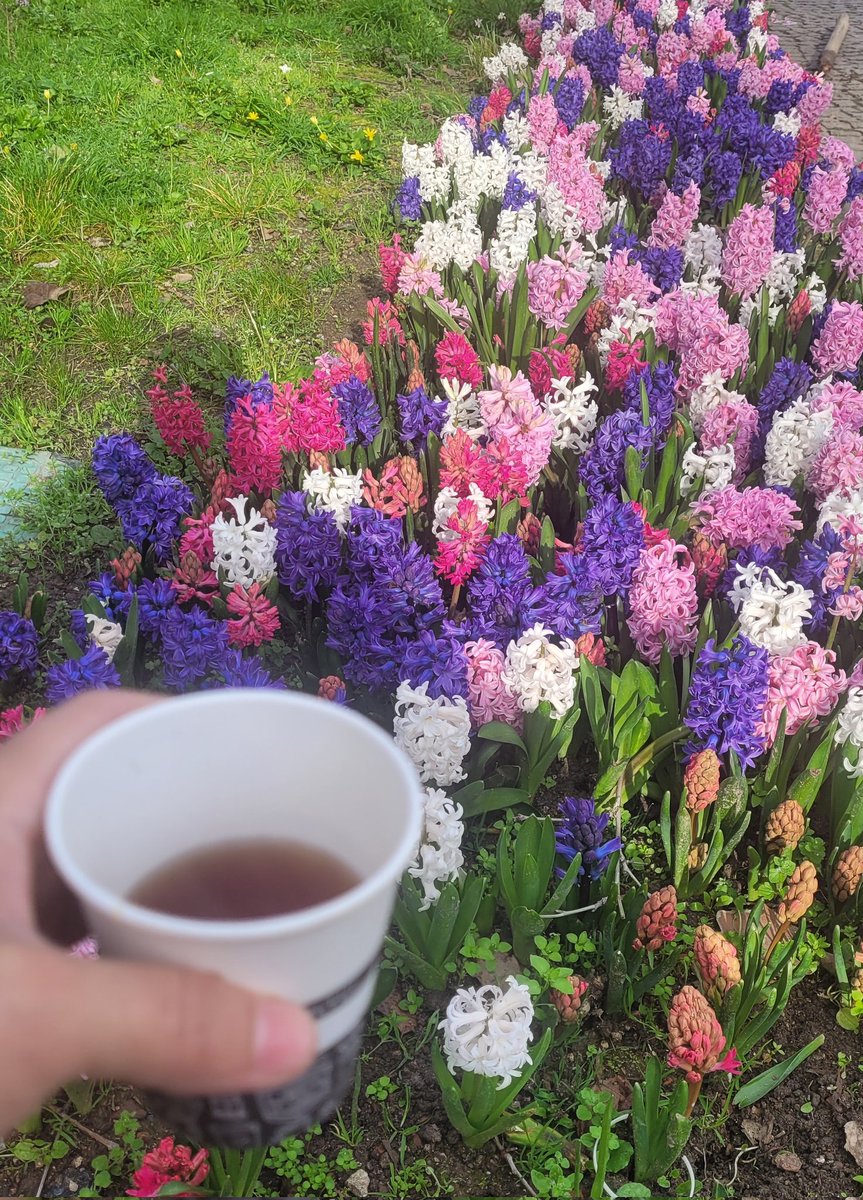 Ayşegül Kurt tweet media