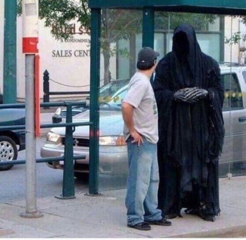 CELESSON tweet media