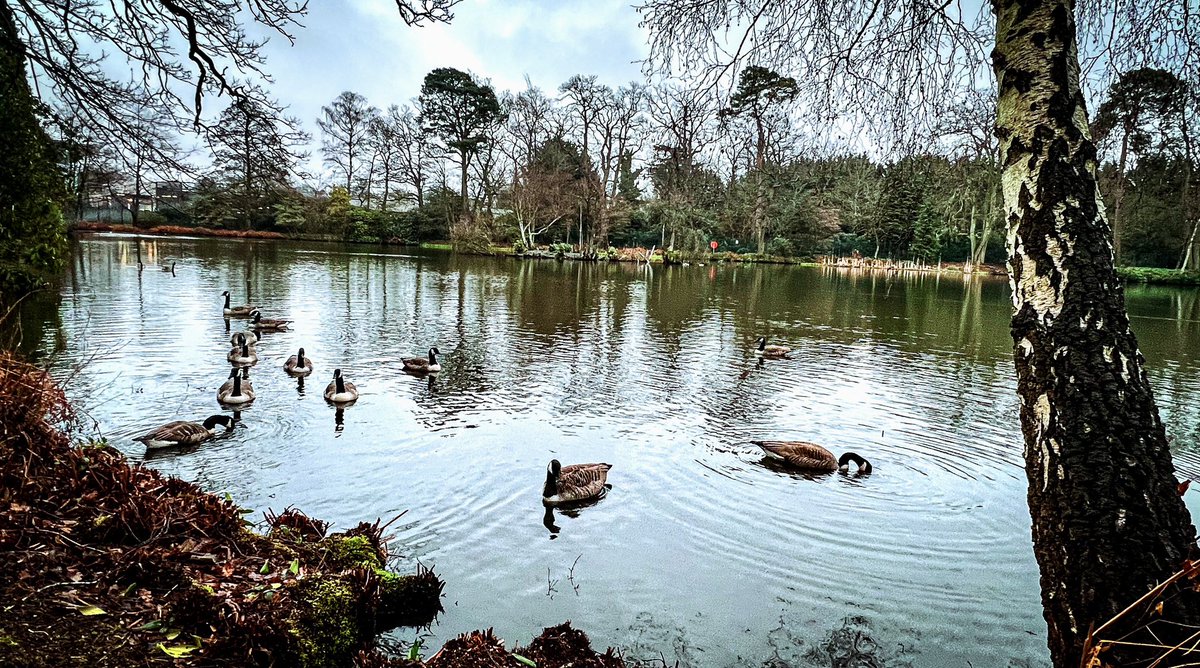 emma69311's tweet photo. Cracking course and long days but worth it. @CTCFrimleyPark https://t.co/r4as30xQKf