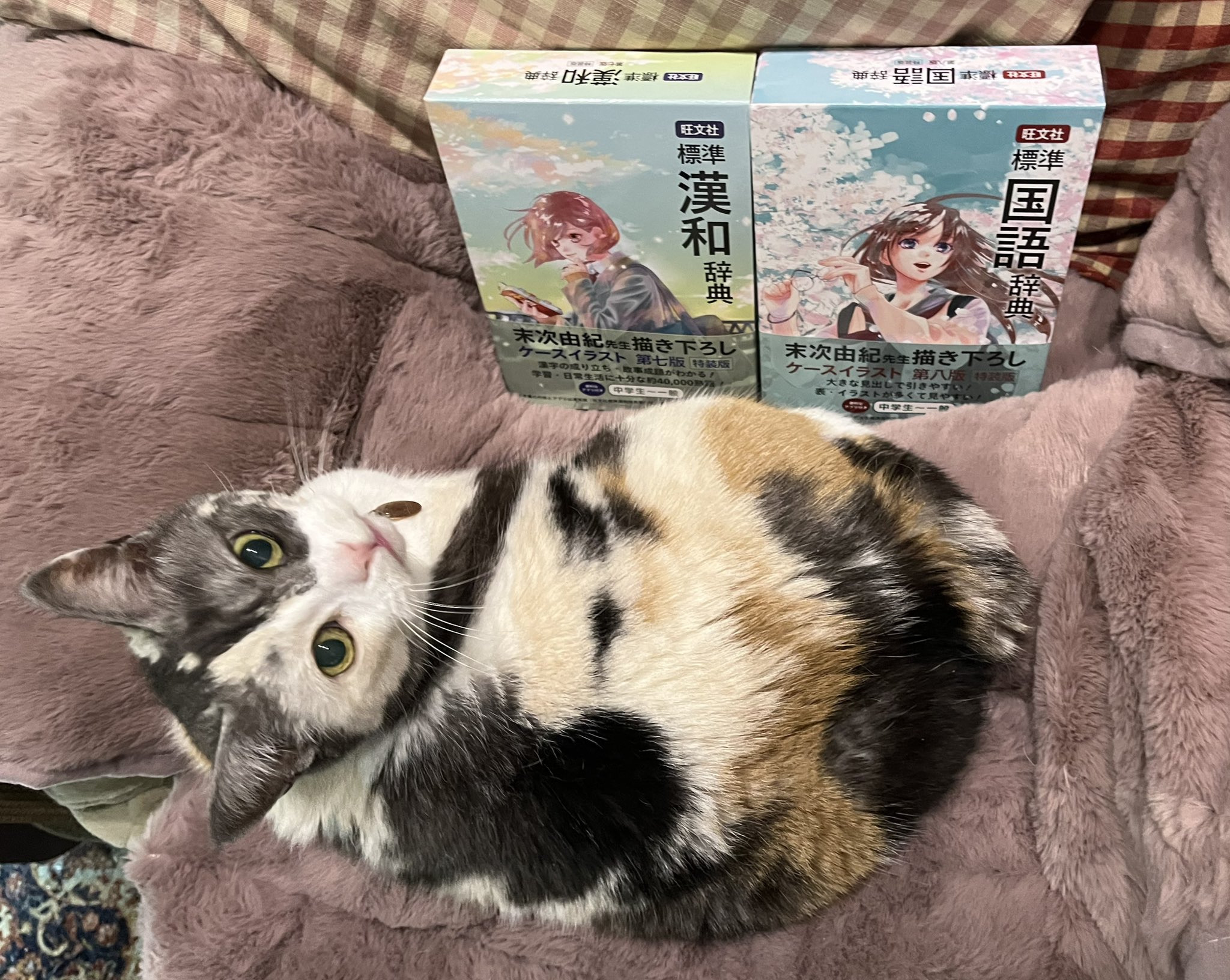 ゆきのみやこ YUKINO Miyako読書三昧猫三昧 on X: 