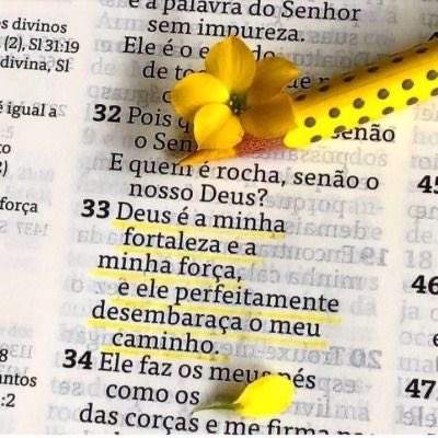 Que a paz do Senhor Jesus, guarde nossa vida no dia de hoje. Bom dia!
