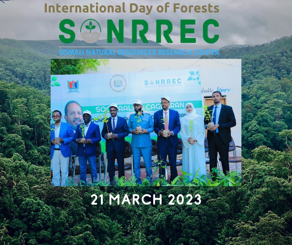 sonrrec's tweet photo. @sonrrec celebration of International Day of Forests. Deforestation, drought and desertification have contributed to the significant reduction of forests in 🇸🇴 therefore much efforts are needed to protect Somalia’s remaining forested areas and restore the degraded lands to fight climate change. @MoECC_Somalia @UNEP @UNDPSomalia @FAOSomalia @TheVillaSomalia @SomaliPM @SenatorAbshir @JustAwHirsi @KhadijaMakhzumi @HassanSMohamud