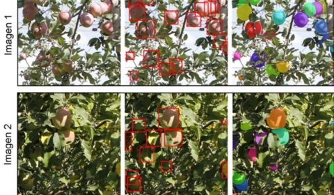 GrapUdL's tweet photo. PhD position (@GrapUdL  @UdL_info  @Agrotecnio): artificial intelligence in #PrecisionAgriculture (project PID2021-126648OB-I00 @AgEInves). Interested❓➡️ email CV and motivation letter to eduard.gregorio@udl.cat. More information in: https://t.co/2mDjnZXIgg https://t.co/FUwfRMh8BX