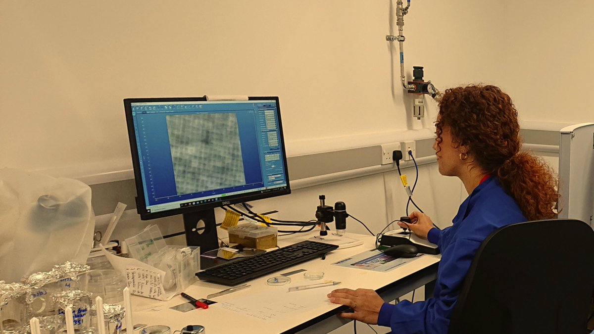 Homes Under the Microscope tweet media