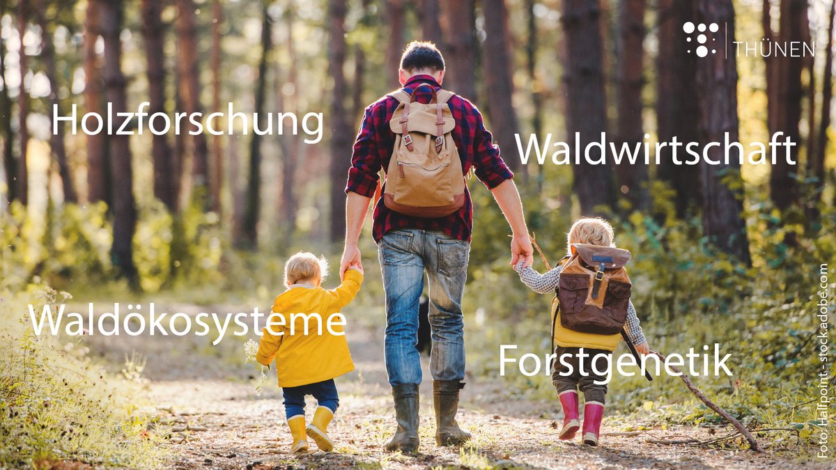Thuenen_aktuell's tweet photo. Wie #Wälder in Zukunft aussehen müssen, damit sie nachhaltig genutzt werden können, erforschen mehr als 300 Beschäftigte an den 4 Waldinstituten von @Thuenen_aktuell. 🌳🌲Jede Menge Infos dazu in unserem Themenfeld "Wälder": https://t.co/PtwymFoJEc
#TagdesWaldes #ForestDay https://t.co/DsBElqc1Bb