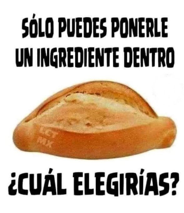 Laura Vitini tweet media