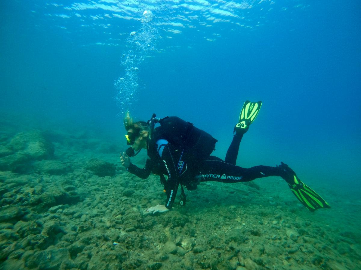 Who else likes to match their mask and snorkel to their fins? ⭐ 💎 #ScubaTuesday

#TeamDiveStore #TUSA #WATERPROOF #scubagear #divelife #divegear #divetourismgreece  #divingequipment
#scubadiving