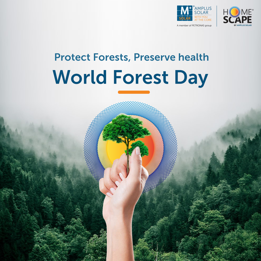 amplussolar's tweet photo. #Deforestation and destruction of soil pose significant threat to our #ecosystem. It’s time to make a strong move towards a #greenerfuture by switching to low-carbon energy solutions. This #WorldForestDay let's pledge to protect our forests and preserve our health.
#amplussolar https://t.co/Cq66b9Qsvh
