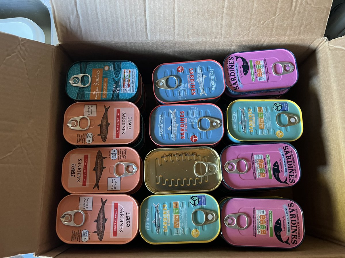 SighthoundSocialClub tweet media