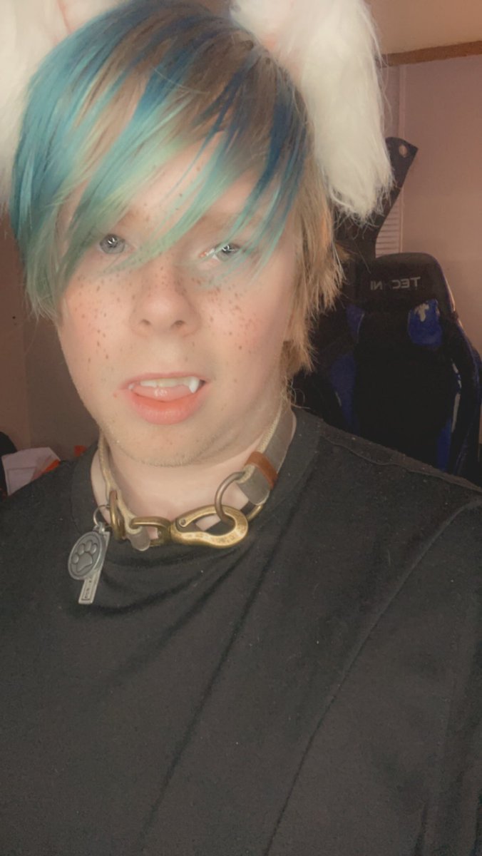Pup__Rad's tweet photo. So I may be an ass for this but I am a sexy ass puppy what do you think? https://t.co/o4mcHHAk4u