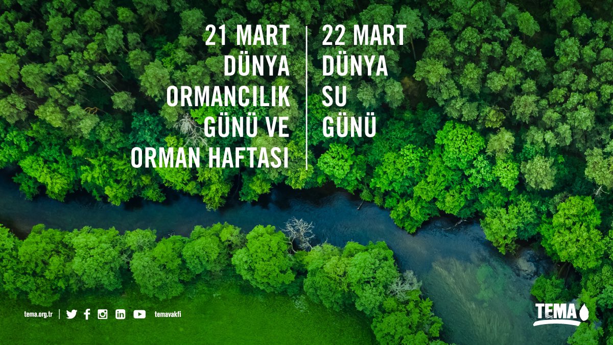 🌳 21 Mart Dünya Ormancılık Günü ve Orman Haftası
💧22 Mart Dünya Su Günü
