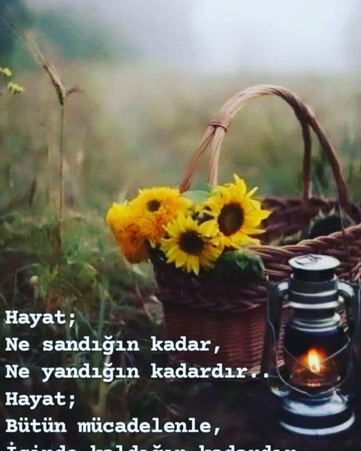 ''HAYAT'' Bir Hediyedir...
Verilen Hediyeyi Beğenmesende
''VERENİN'' Hatrına ''ŞÜKREDİP''
 Gülümsemek Gerekir...
Hayırlı huzurlu bir gün dilerim 💐