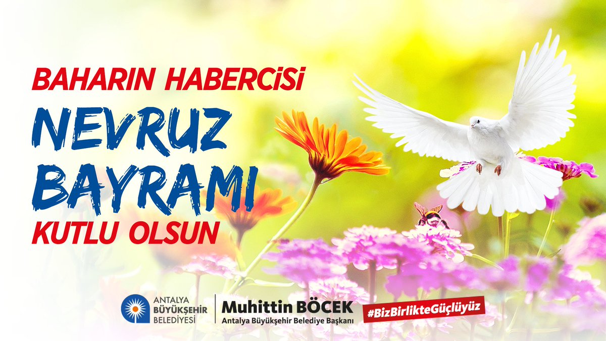 Muhittin Böcek