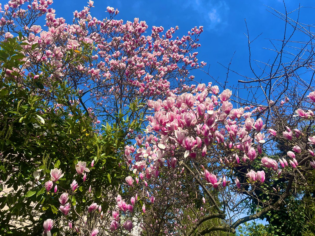 AdwoaB9's tweet photo. It’s officially the first day of spring!!! 💃🏾 And my favorite day of the year :) https://t.co/702uI0DHHL