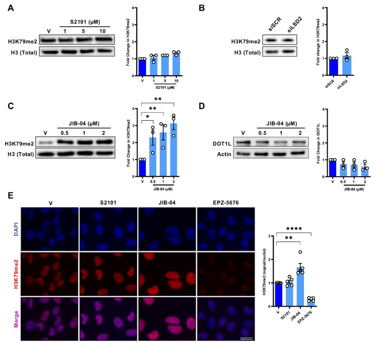 Annals of the Rheumatic Diseases tweet media