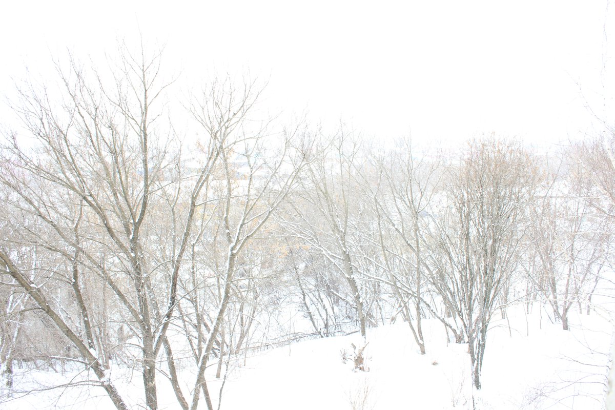 Grant19693060's tweet photo. And winter again... https://t.co/Yr879yryvr