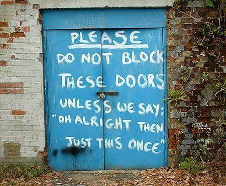 Fi 🌱🦖🌼🦖🌱 tweet media