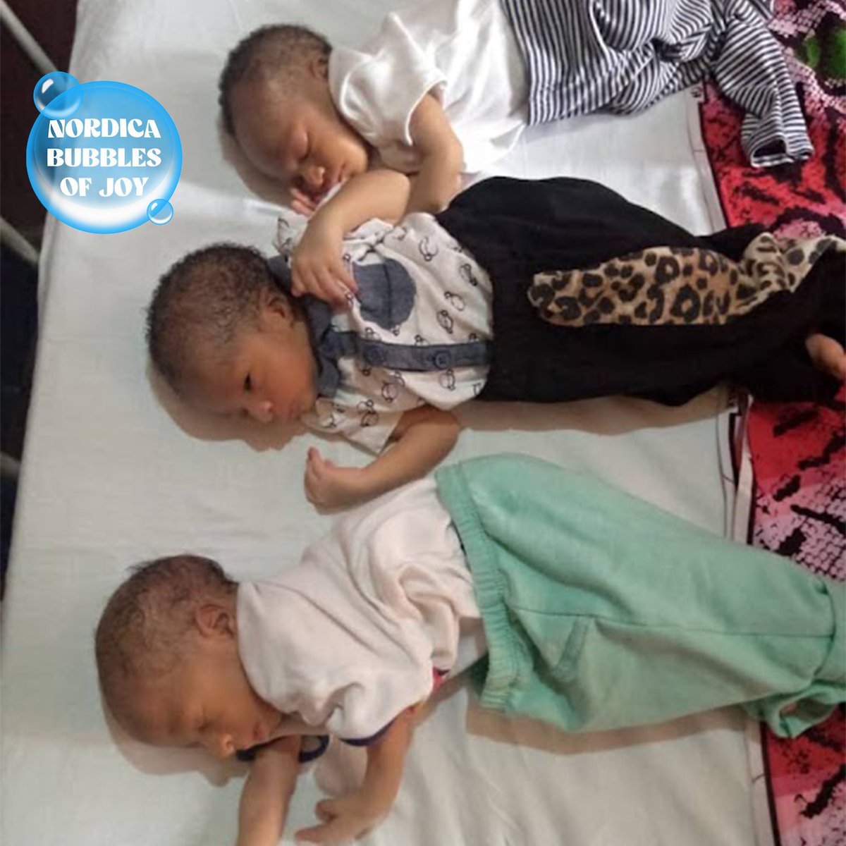 nordicalagos's tweet photo. Triplet alert!!!!!!!
Join us in welcoming our Bubbles of Joy. ππΎππΎππΎπͺπͺπͺπ©π½βπΌπ©π½βπΌπΊπΊπ€π·
#nordicabubblesofjoy #bubblesofjoy #baby #babygirl #babyboy #nordicafertilitycentre #wecompletefamilies https://t.co/bhKvDkLftj