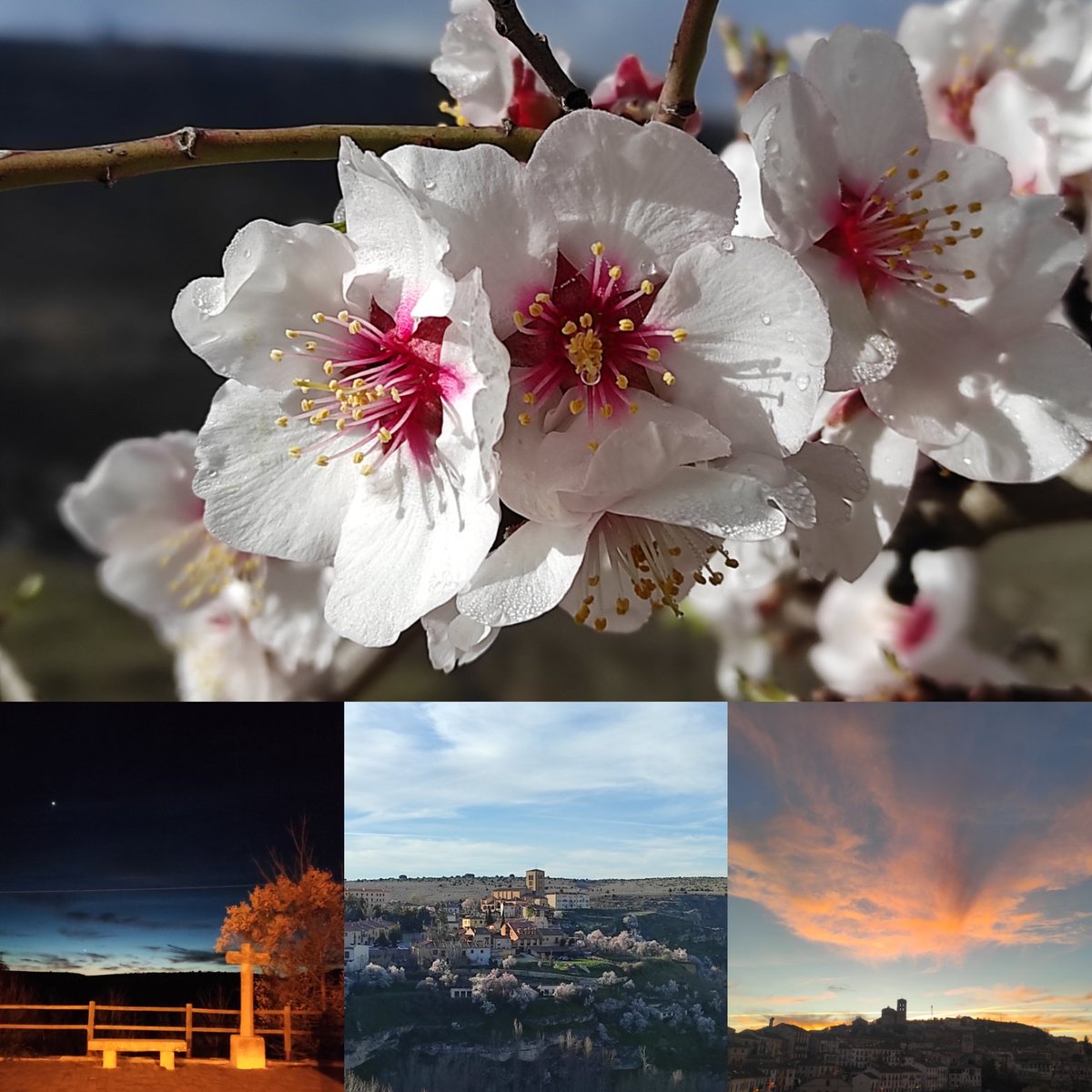 SepulvedaMCyY's tweet photo. ¡Bienvenida #primavera!
🌼🌼🌼🌼🌼🌼🌼🌼🌼
#Buenosdíasmundo

#Sepúlveda #SMCyY🌼 #lospueblosmasbonitosdeespaña #lospueblosmbe #despertar #floración #flores #travel #tourism #tourist #voyage #flowers #spring #Spain 

@CyLesVida @LosPueblosmbe @PregoneroSepul @Segoviaturismo @spain https://t.co/esiDzAhlMs