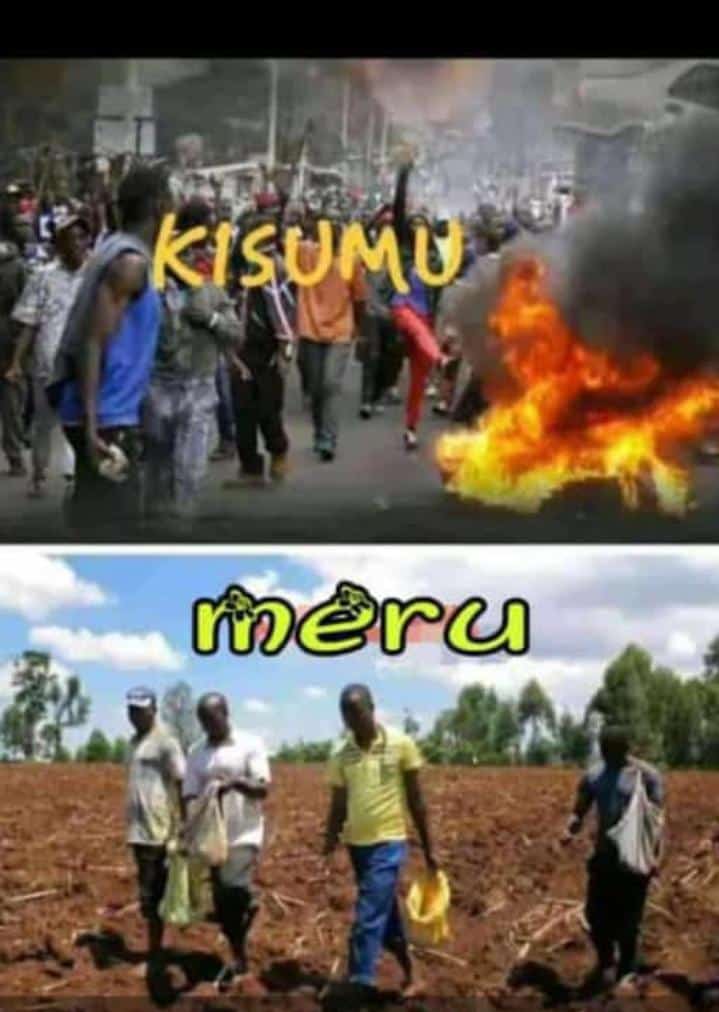 BonifaceKarani2's tweet photo. You will always cry no developments while all what you do is demonstrate,
#djfasto 
# muhoho Kenyatta https://t.co/tU5LyqDvlk