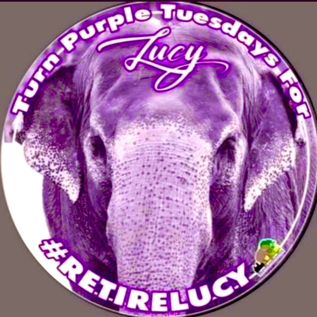 What’s another year some may ask

Well another year could be the difference between life or death for Lucy.

You have sanctuaries places waiting 
You have specialist movers waiting
You have free $ relocation on offer

<a href="/AmarjeetSohiYEG/">Amarjeet Sohi</a> <a href="/AndrewKnack/">Andrew Knack</a> what’s the delay in moving Lucy?